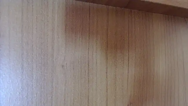 Pamela-StripX online show from December 14, 2025, 9:08 pm