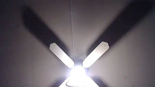 BiglovelyXXL online show from April 13, 2026, 8:36 pm