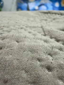 Danimiles online show from February 16, 2026, 11:23 pm