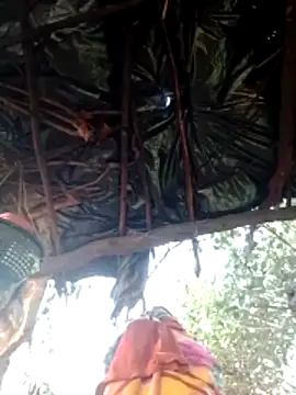 H seema online show from February 9, 2026, 1:53 am