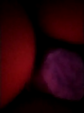 Snapshot of _tetas_92 chatting on April 21, 2026, 1:53 am tetas 92 online show from April 21, 2026, 1:53 am