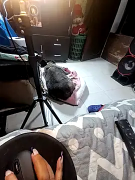 anythompsom online show from November 10, 2025, 11:15 pm