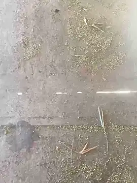 Snapshot of Chico031289 chatting on October 28, 2025, 7:16 pm Chico031289 online show from October 28, 2025, 7:16 pm