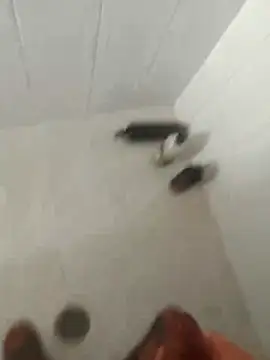 Snapshot of pitoduroparati chatting on February 7, 2026, 11:52 pm pitoduroparati online show from February 7, 2026, 11:52 pm