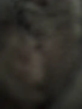 Snapshot of Immerhartundgeil chatting on May 9, 2026, 6:18 am Immerhartundgeil online show from May 9, 2026, 6:18 am