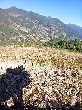 kemtuoi-sex online show from November 30, 2025, 3:32 am