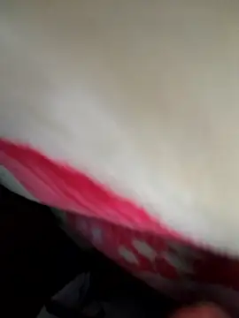 Chanderi19 online show from April 15, 2026, 11:49 pm