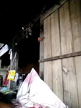 Samdim23 online show from October 2, 2025, 2:29 am