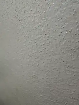 Wild-Nayra online show from October 4, 2025, 1:36 am