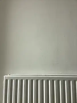 Snapshot of dlasian2026 chatting on October 31, 2025, 11:06 pm dlasian2026 online show from October 31, 2025, 11:06 pm