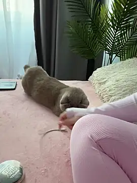 Snapshot of Andrestarr chatting on March 14, 2026, 2:55 pm Andrestarr online show from March 14, 2026, 2:55 pm