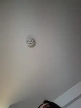 Snapshot of Andrestarr chatting on March 26, 2026, 4:01 pm Andrestarr online show from March 26, 2026, 4:01 pm