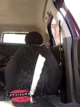 IssuedEcho online show from February 28, 2026, 11:44 am