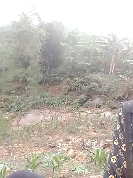 donna-bae online show from April 12, 2026, 10:09 am