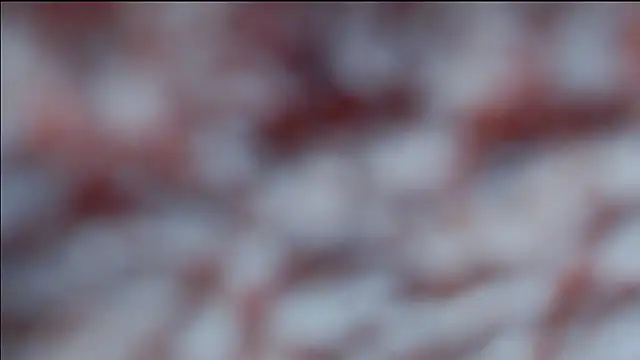 hsua0098 online show from April 16, 2026, 10:34 pm