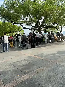 leeyoung  online show from April 10, 2026, 7:46 am