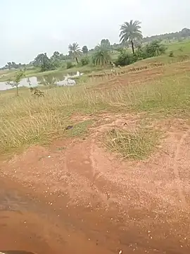 AgitatedStrip9 online show from September 22, 2025, 2:35 am