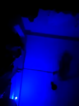 chunkyguy98 online show from October 6, 2025, 7:22 pm