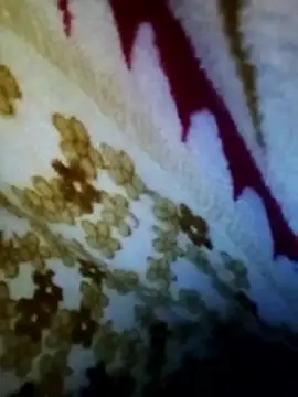 alone boy802 online show from November 17, 2025, 2:23 pm