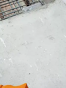 Rupali ji online show from December 17, 2025, 10:21 am