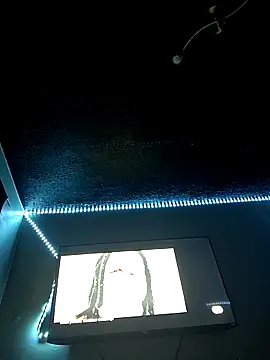 Snapshot of Painstickwes chatting on February 5, 2026, 9:52 pm Painstickwes online show from February 5, 2026, 9:52 pm