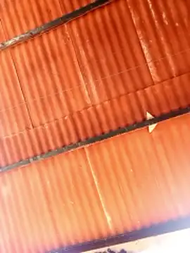 Goofygoody17 online show from February 8, 2026, 10:29 am