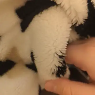 Snapshot of Geilerboy262 chatting on November 15, 2025, 10:15 pm Geilerboy262 online show from November 15, 2025, 10:15 pm