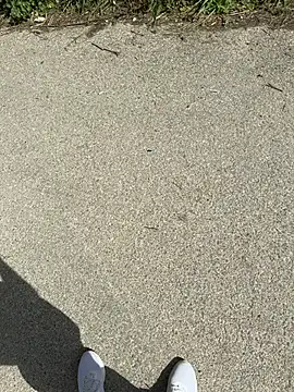 Italianofirenze online show from April 15, 2026, 9:49 am