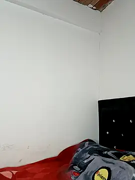 Opal S online show from November 21, 2025, 12:48 pm