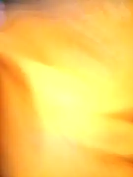 kavita bhabi online show from February 17, 2026, 8:11 am