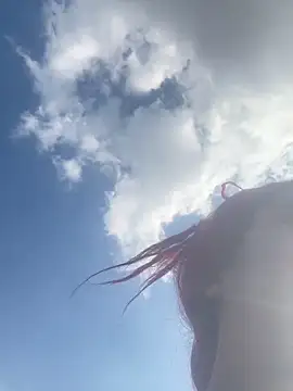 Snapshot of taylor_hot85 chatting on March 7, 2026, 9:12 pm taylor hot85 online show from March 7, 2026, 9:12 pm