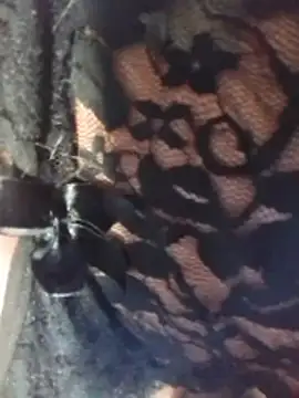 misteriosabb000 online show from March 17, 2026, 6:33 pm