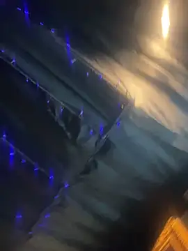 StarElexis online show from March 17, 2026, 1:43 am