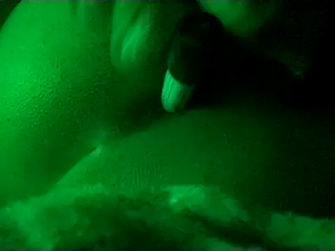 Buddha289 online show from November 25, 2025, 9:31 am