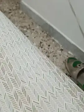 Lucastra98 online show from November 5, 2025, 8:14 am