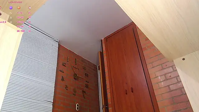 Snapshot of Salome-sw chatting on February 1, 2025, 1:55 am Salome-sw online show from February 1, 2025, 1:55 am
