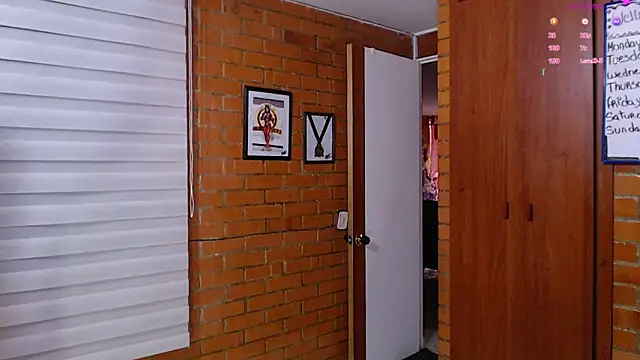 Snapshot of Salome-sw chatting on February 12, 2026, 9:21 pm Salome-sw online show from February 12, 2026, 9:21 pm