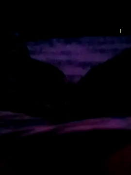 veintitres23 online show from November 11, 2025, 7:52 am