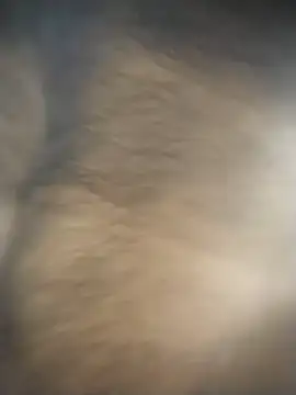 SL BEAR online show from December 4, 2025, 1:48 am