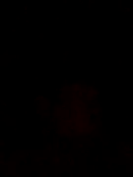 sants13 online show from October 31, 2025, 9:49 pm