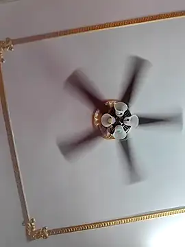 Dr Bangla online show from November 1, 2025, 5:42 am