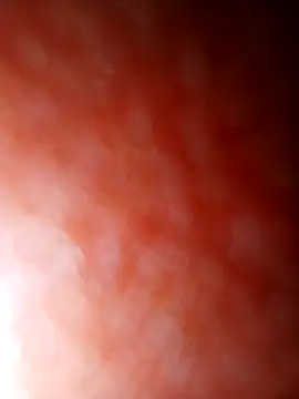 Snapshot of jhbswto chatting on October 30, 2025, 9:48 pm jhbswto online show from October 30, 2025, 9:48 pm