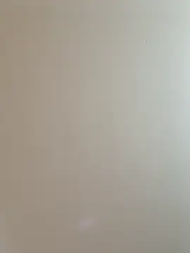 labellerose online show from February 25, 2026, 6:06 pm