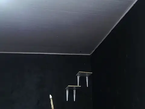 Liastark online show from November 30, 2025, 10:41 am