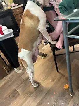 Mustbethemoney1234 online show from April 6, 2026, 9:05 pm