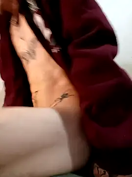 RuivoDotado24cm online show from November 14, 2025, 8:46 am