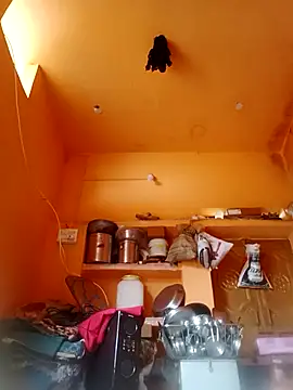 Abhilasha hot34 online show from December 21, 2025, 4:30 am