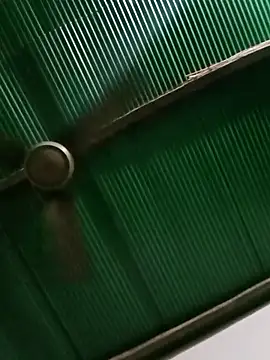 Jessica-03 online show from March 13, 2026, 5:30 pm