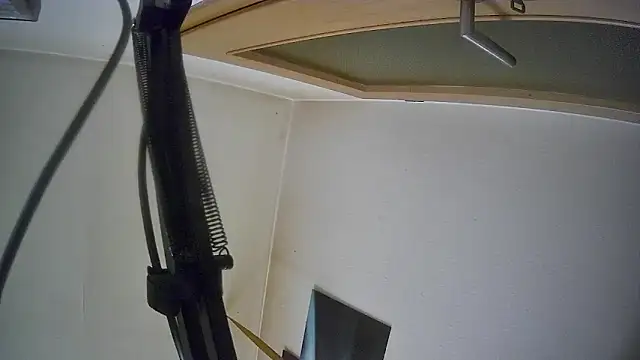 bull419M online show from October 17, 2025, 9:45 am