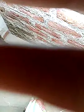 Rajni chauhan online show from November 25, 2025, 9:42 am